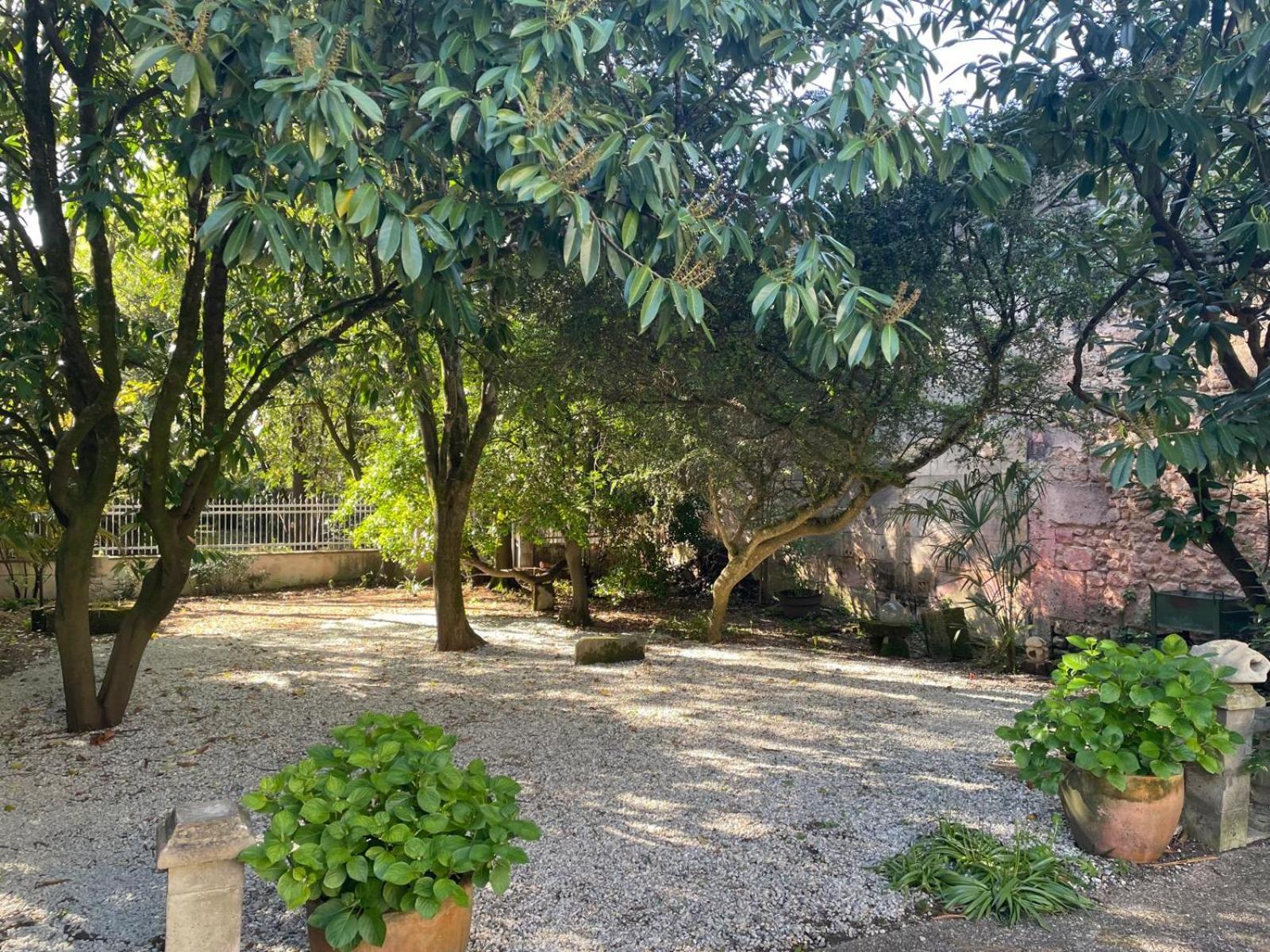 Annexe Du Pont De La Charente Apartment Chateauneuf-sur-Charente